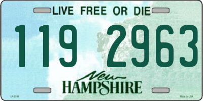 NH license plate 1192963