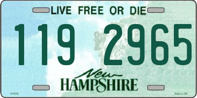 NH license plate 1192965