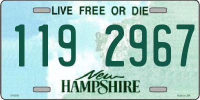 NH license plate 1192967