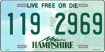 NH license plate 1192969