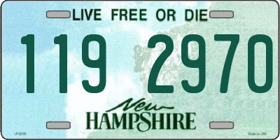 NH license plate 1192970