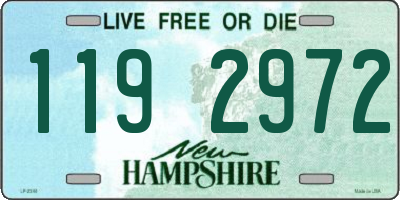 NH license plate 1192972