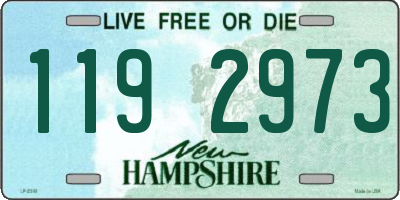 NH license plate 1192973