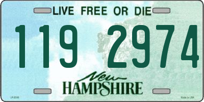NH license plate 1192974