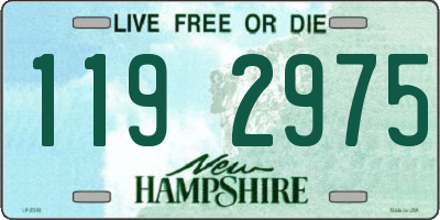 NH license plate 1192975