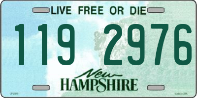 NH license plate 1192976