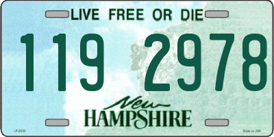 NH license plate 1192978