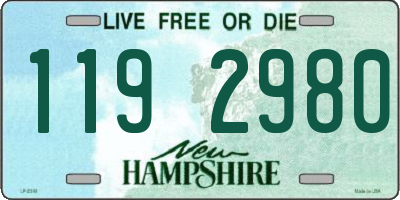 NH license plate 1192980