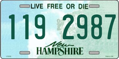 NH license plate 1192987