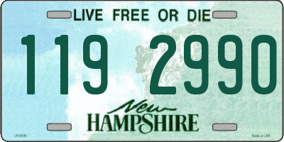 NH license plate 1192990