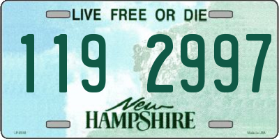 NH license plate 1192997