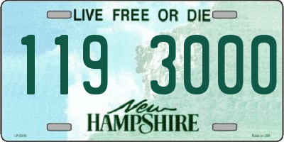 NH license plate 1193000