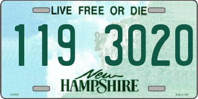 NH license plate 1193020