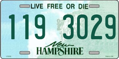 NH license plate 1193029