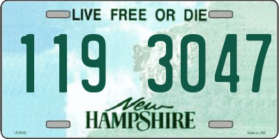 NH license plate 1193047