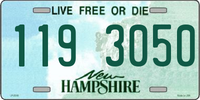 NH license plate 1193050