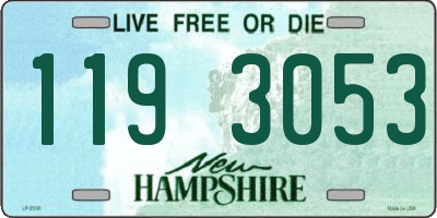 NH license plate 1193053
