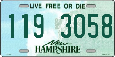 NH license plate 1193058