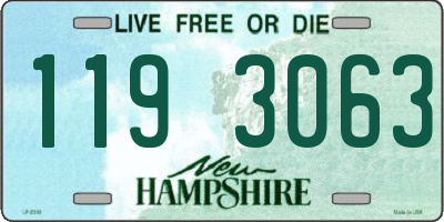 NH license plate 1193063