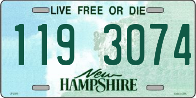 NH license plate 1193074