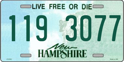 NH license plate 1193077