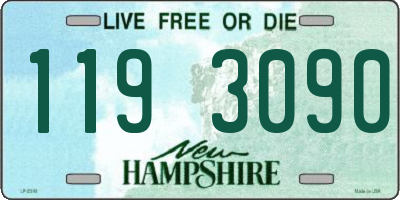 NH license plate 1193090