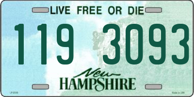 NH license plate 1193093