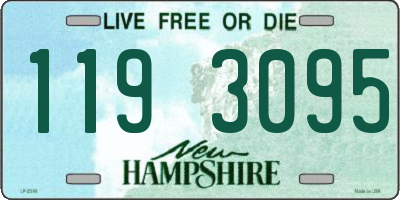 NH license plate 1193095