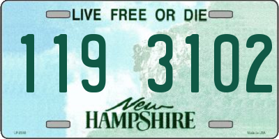 NH license plate 1193102
