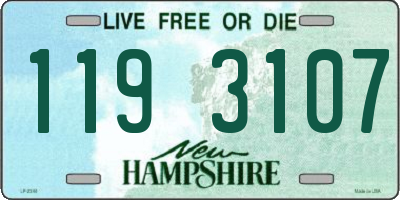 NH license plate 1193107