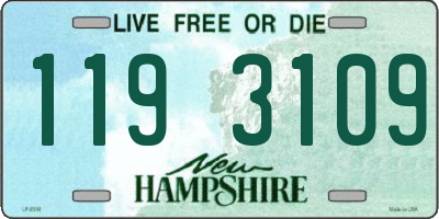 NH license plate 1193109