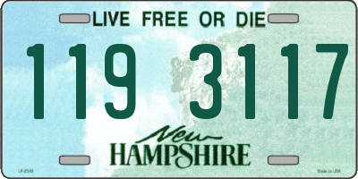 NH license plate 1193117