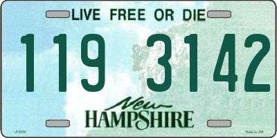 NH license plate 1193142