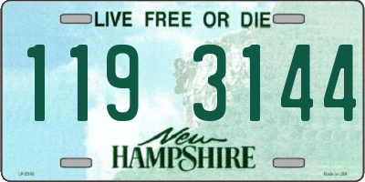NH license plate 1193144