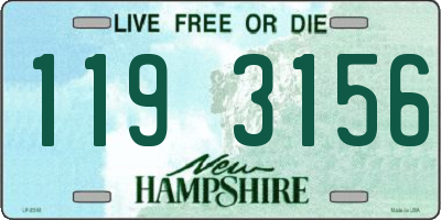 NH license plate 1193156