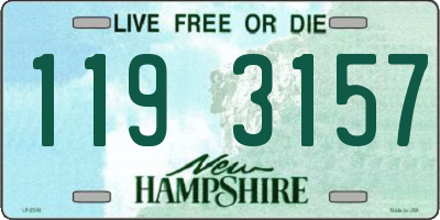 NH license plate 1193157