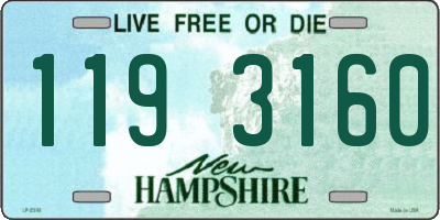 NH license plate 1193160