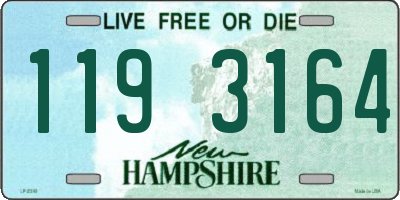 NH license plate 1193164