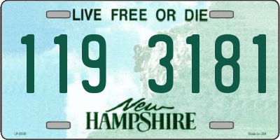 NH license plate 1193181