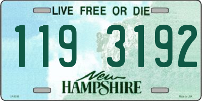 NH license plate 1193192