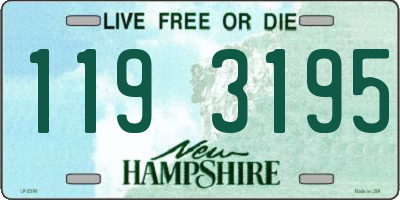NH license plate 1193195