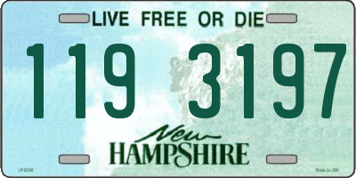 NH license plate 1193197
