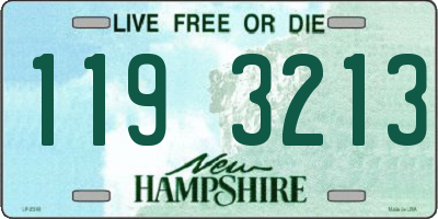 NH license plate 1193213
