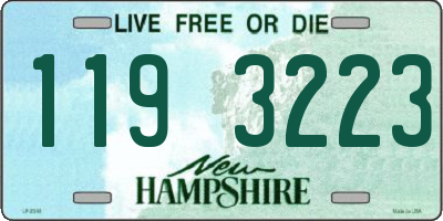 NH license plate 1193223