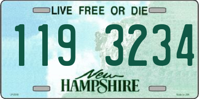 NH license plate 1193234