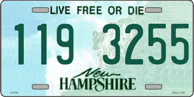 NH license plate 1193255