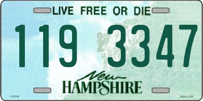 NH license plate 1193347