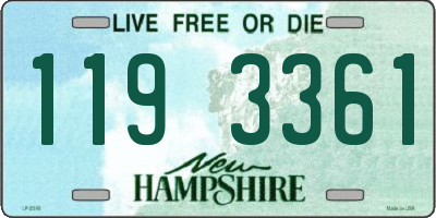 NH license plate 1193361