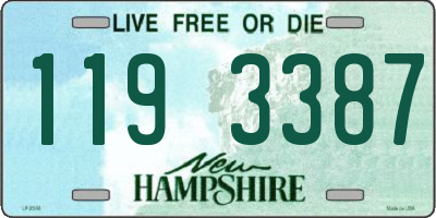 NH license plate 1193387