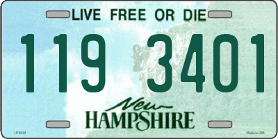 NH license plate 1193401